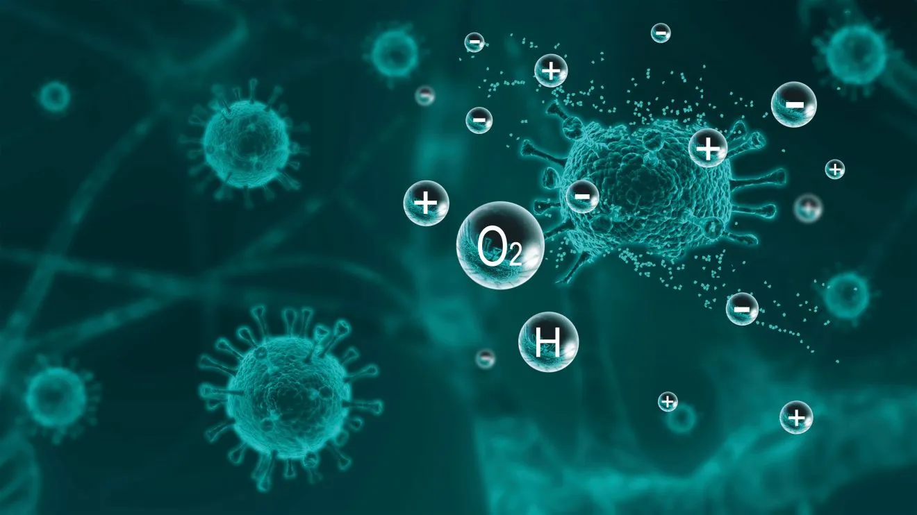 6c251ee178519a8d055ff12693fe327a_199706_2