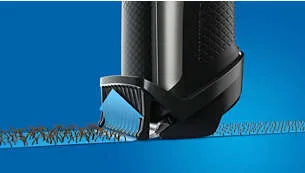 10de7de7fa534a6ab433ae7501220eea