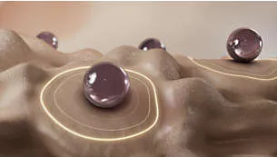 9d2552f056894c51afa5afd600f2d0b6