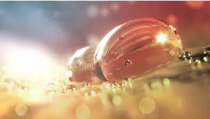 fe62a253e97e48da85b2b0cd00ae92e2