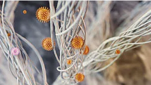 vrs_6192b4a3acd0663bd85768fa4d91806bf7880bab